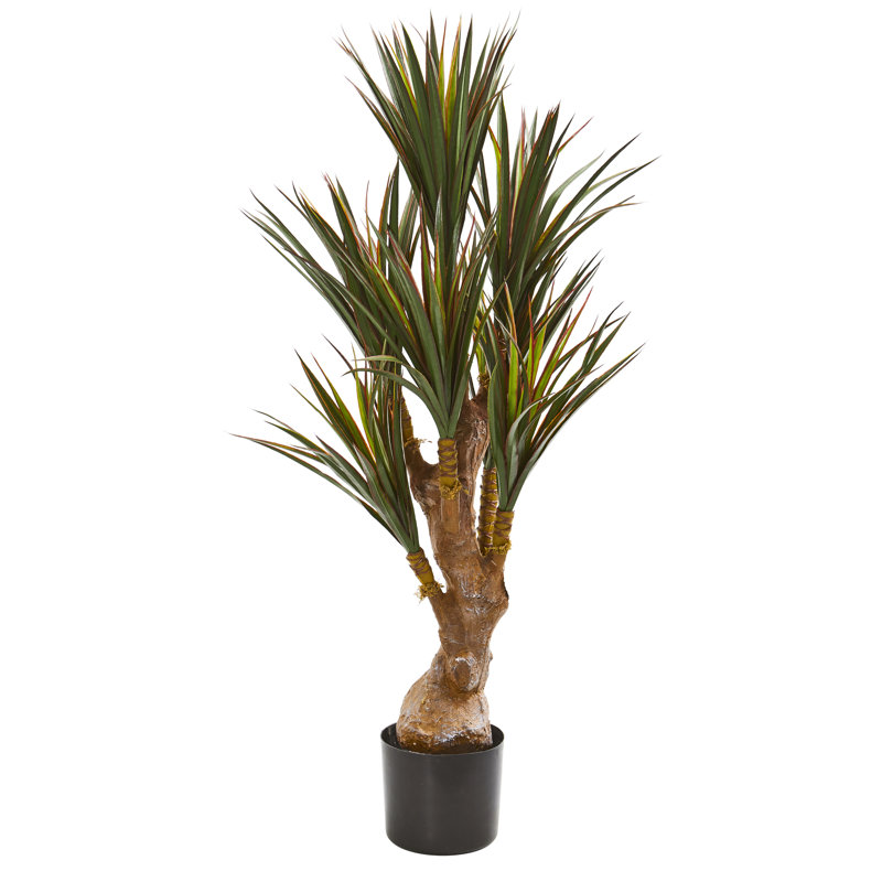 Bayou Breeze Artificial Yucca Tree in Pot & Reviews Wayfair